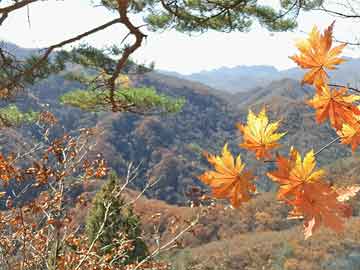 打胎药购买流程图片打胎没掉干净吃什么药（打胎没掉干净,吃什么药）